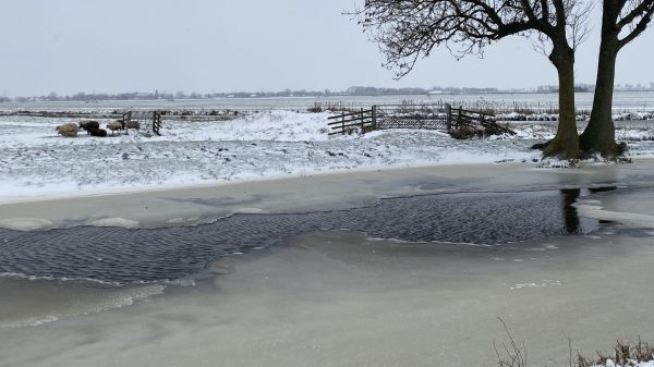 Natuurijs bij Haastrecht